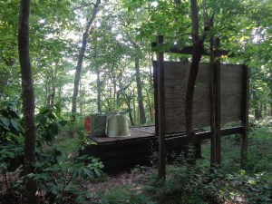 The not-so-private privy at Rice Field Shelter.  "Hey, everybody!  Watch me squat!"