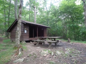 Leaving the mouse hole.